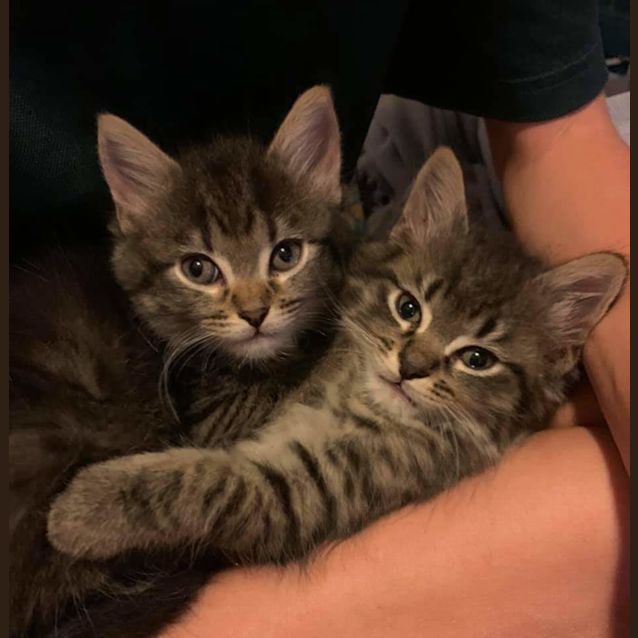 Photo of Mario And Luigi