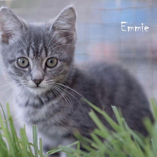 Photo of Emmie