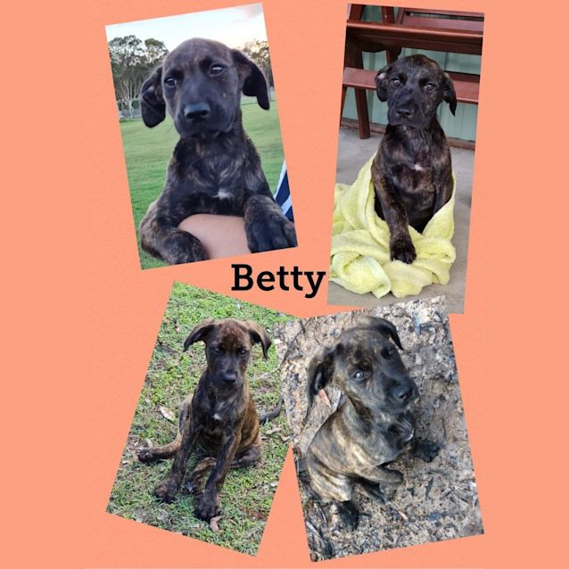 Photo of Betty