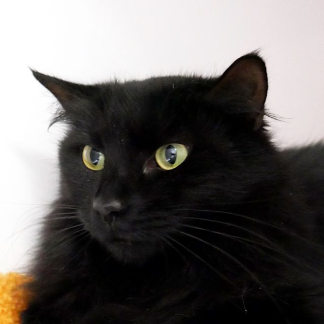 Photo of Deni Sua006163