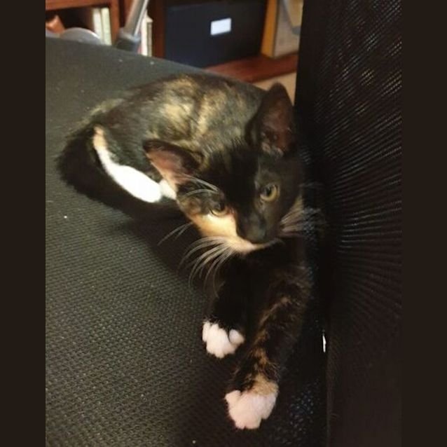 Photo of Lagatha