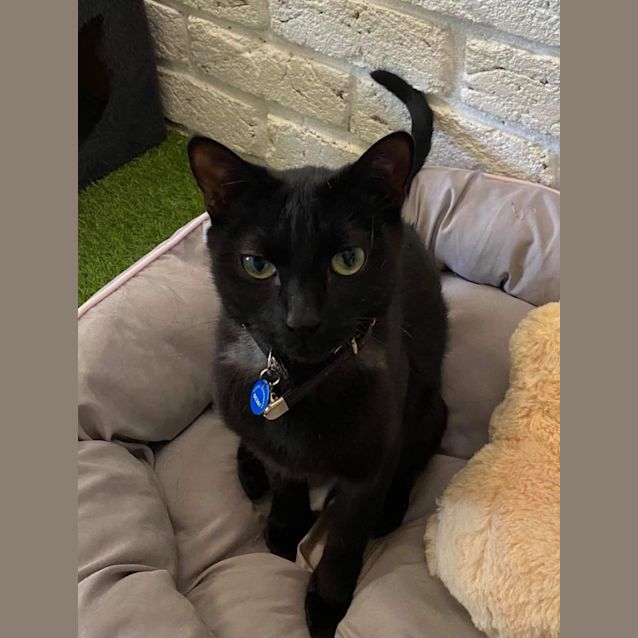 Photo of Sophie (Atreus)