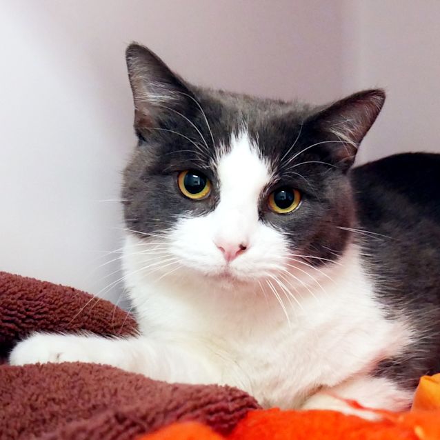 Photo of Mj Suk006462