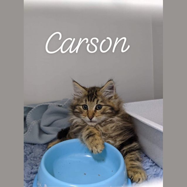 Photo of Carson