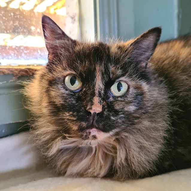 Photo of Fleur