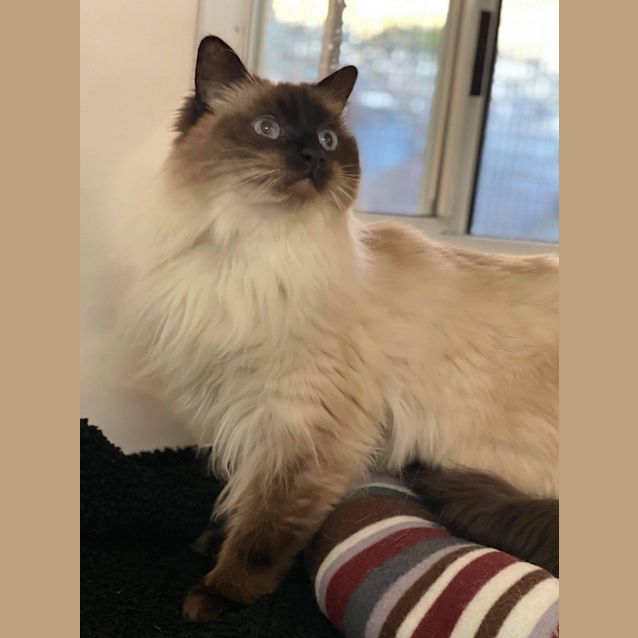 Photo of Lucy (Mowbray)