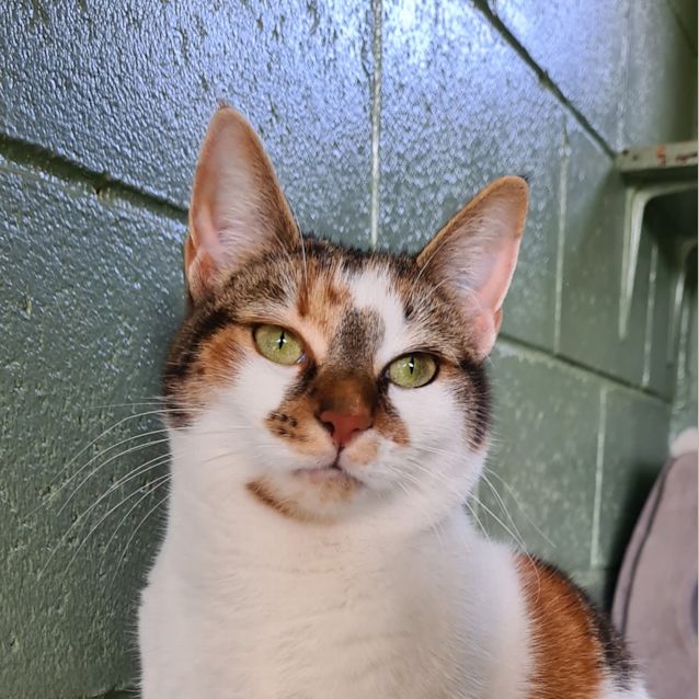 Photo of Lola