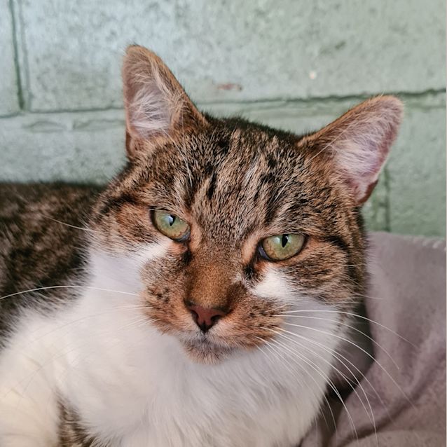 Photo of Cassie
