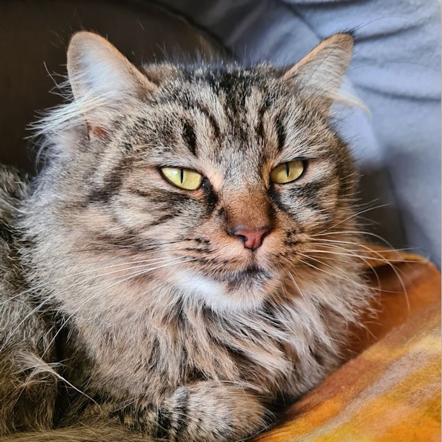 Photo of Magda 