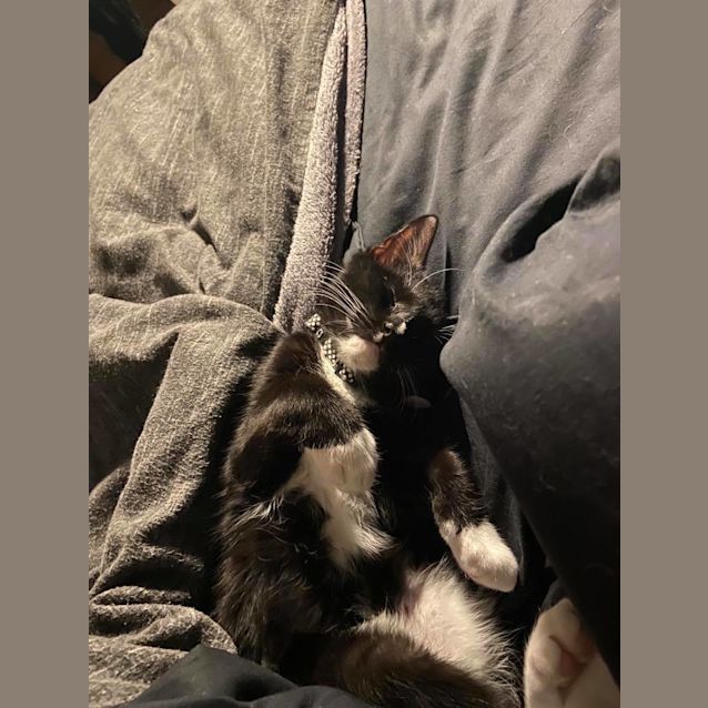 Photo of Charlie Button