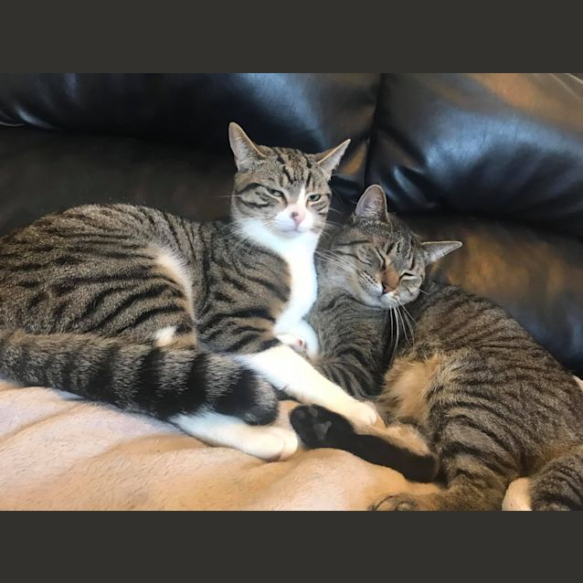 Photo of Jimmy & Zara