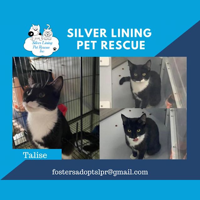 Photo of Talise
