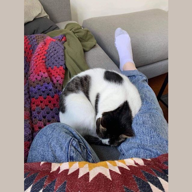 Photo of Lovely Is Lovely