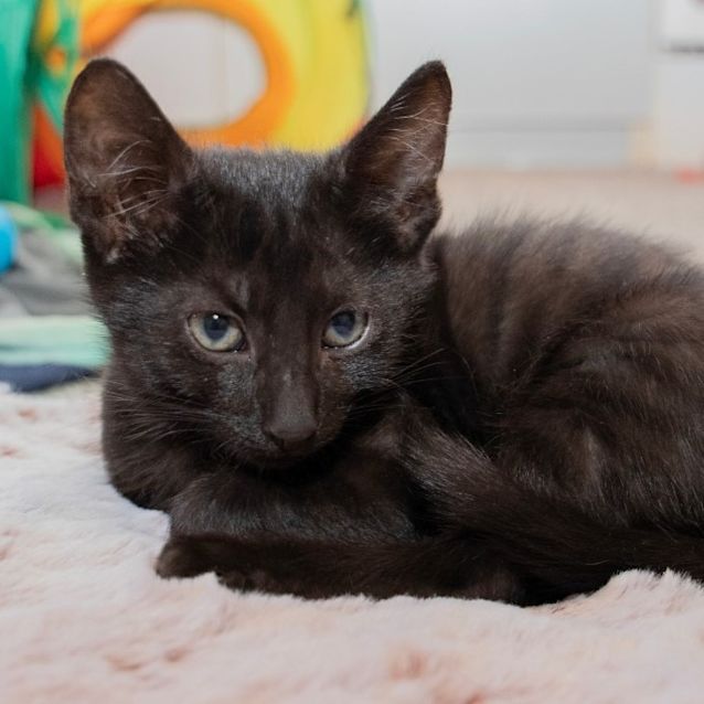 Photo of Minnie