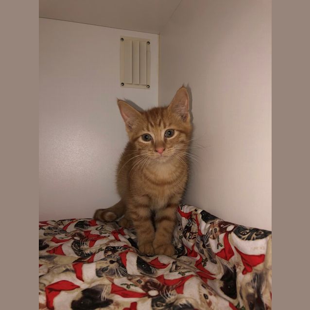 Photo of Bullseye
