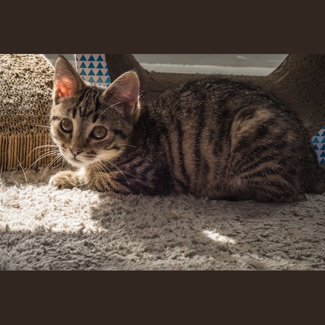 Photo of Wanda And Pietro