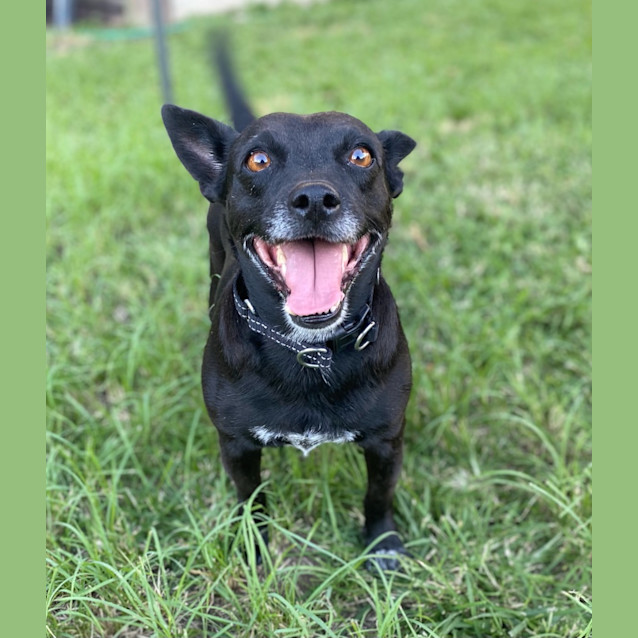 Photo of Esme