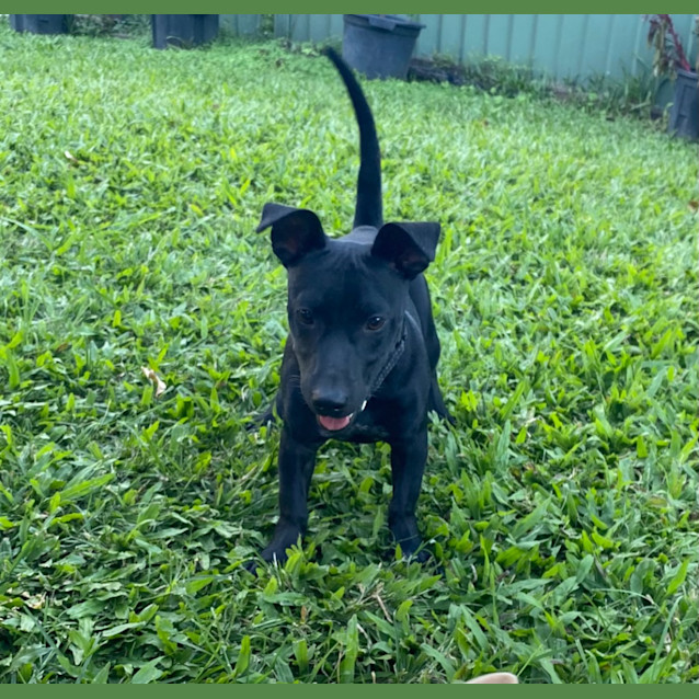 Photo of Hattie