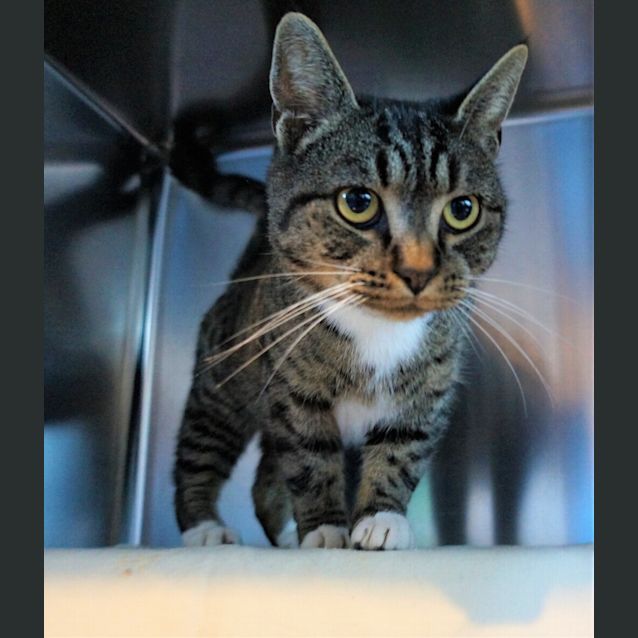 Photo of Rowley