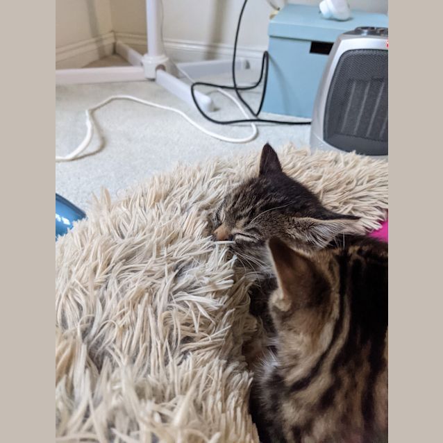 Photo of Melinda May 