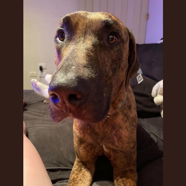 Photo of Zeke