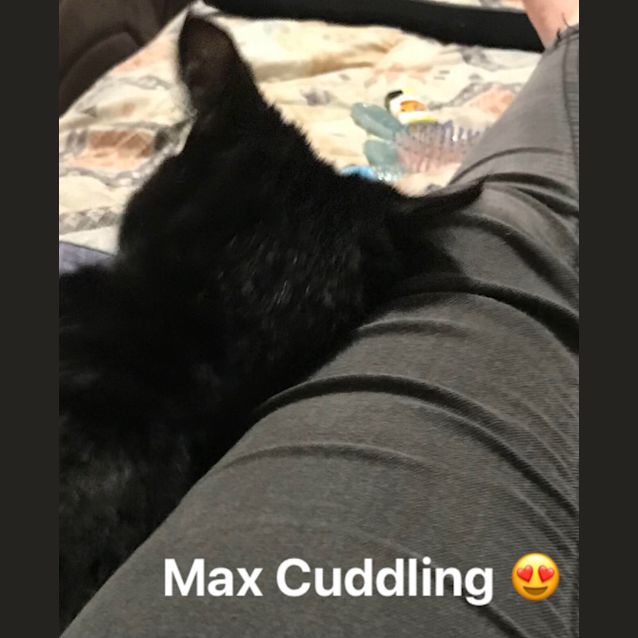 Photo of Max & Roxanne