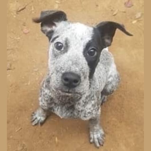 Photo of Arya