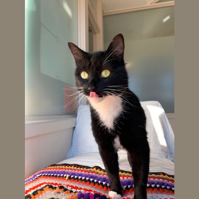 Photo of Archie   C1014