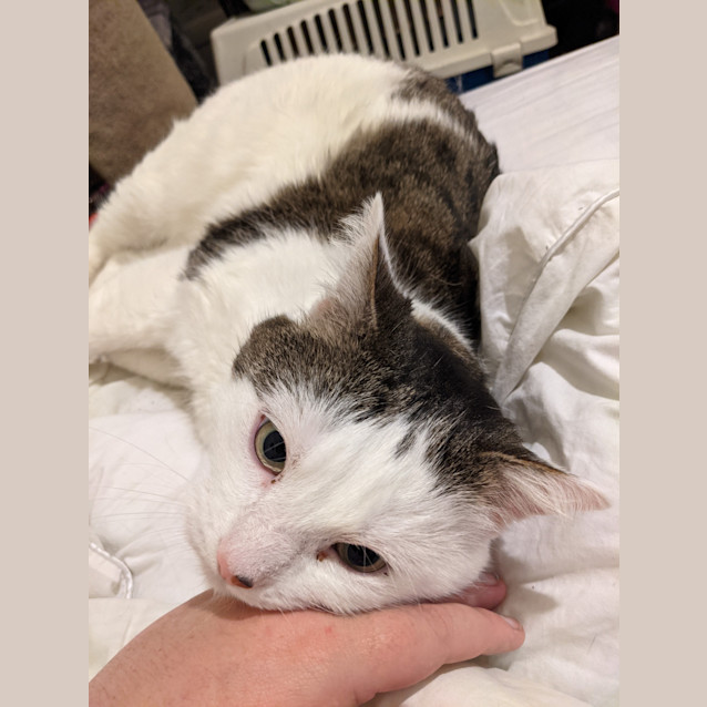 Photo of Danny   Located In Endeavour Hills