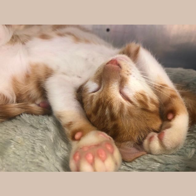 Photo of Ferris & Bueller