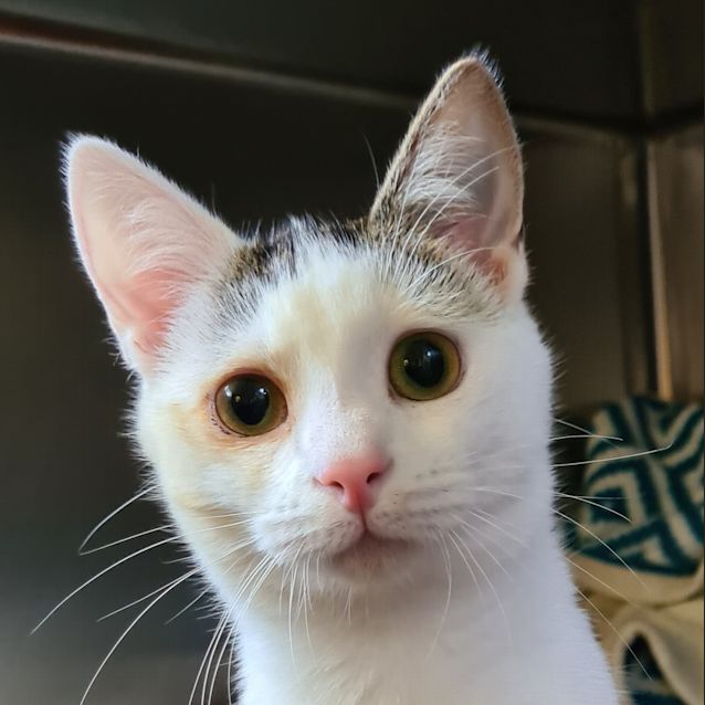 Photo of Sophia (Now Lily)