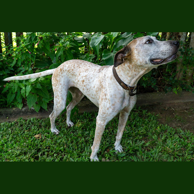 Photo of Polly & Freckles