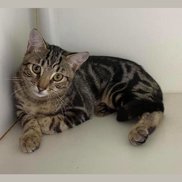 Photo of Coffee & Tea