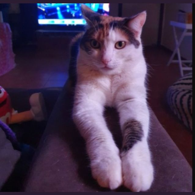 Photo of Jess