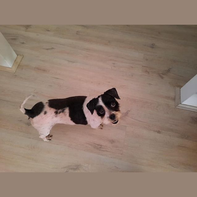 Photo of Molly Dl2662