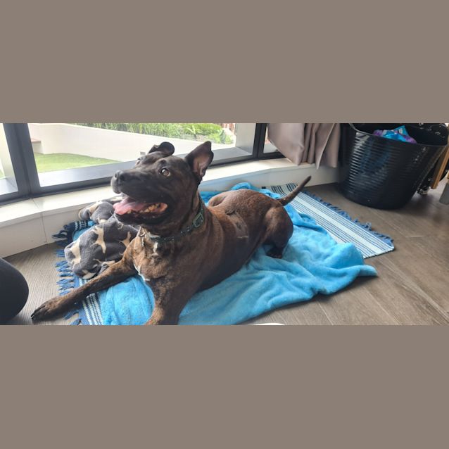 Photo of Zula