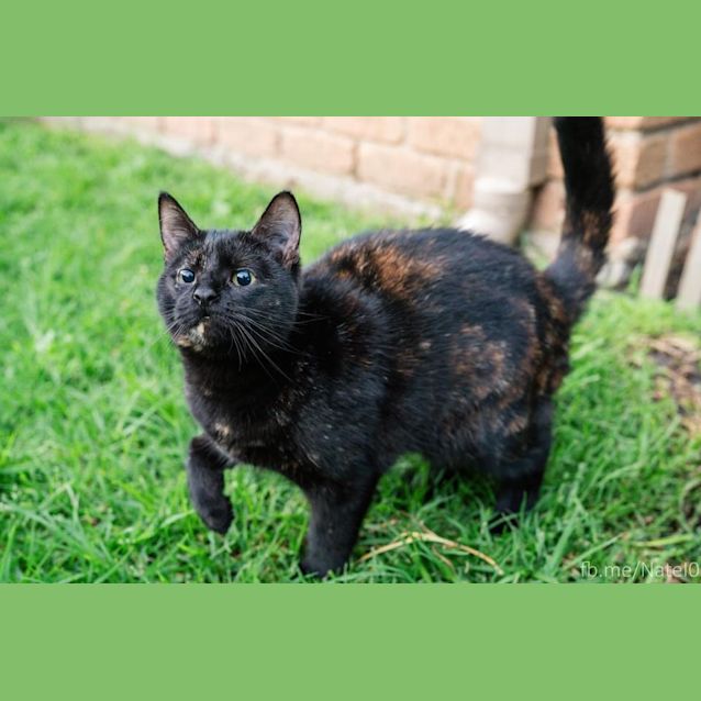 Photo of Baby Spice