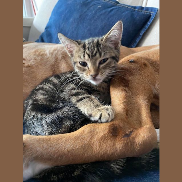 Photo of Jane Foster