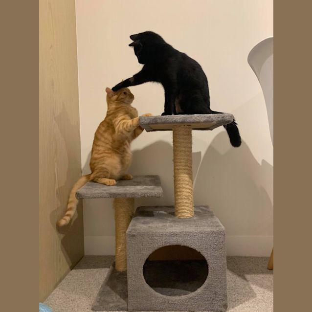 Photo of Kali And Jasper