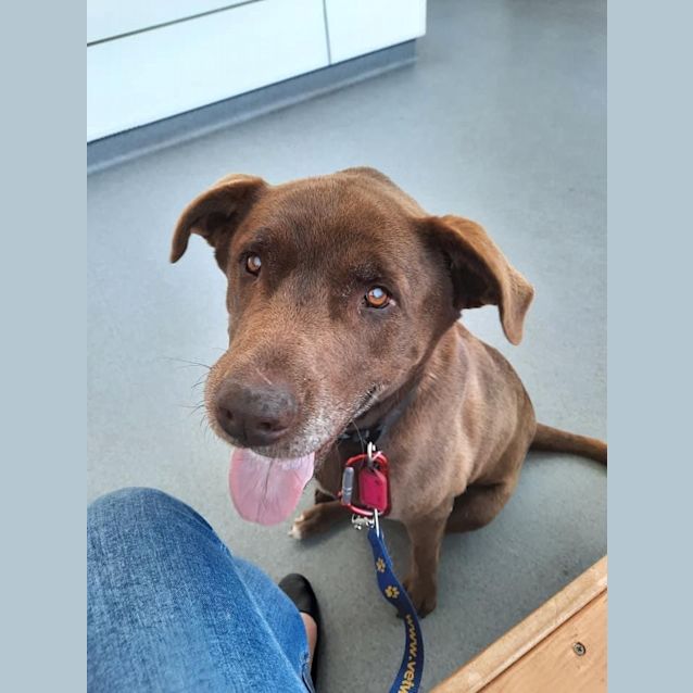 Photo of Barney Dl2665