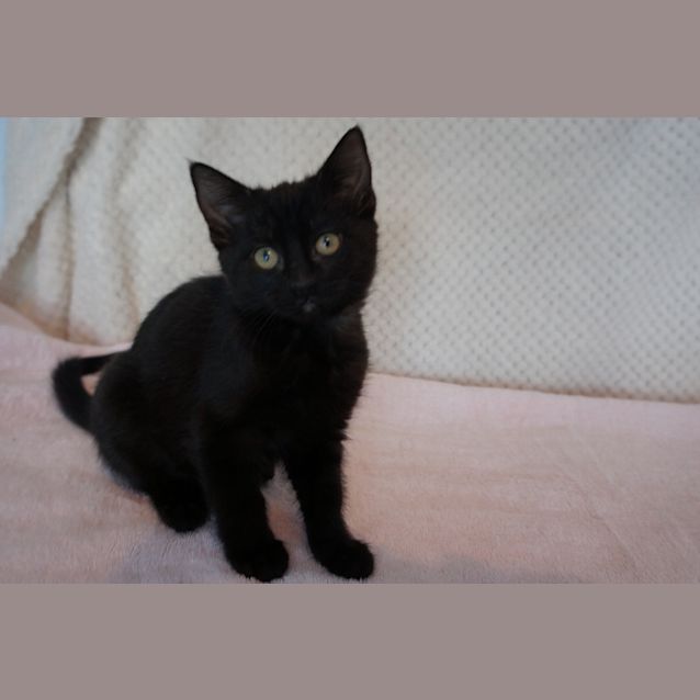 Photo of Lettie
