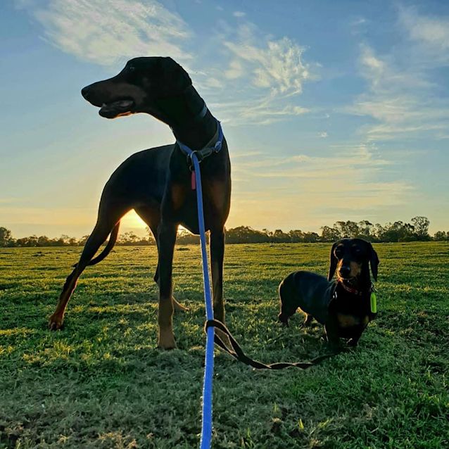 Photo of Neuka Dl2647 & Denaihee Dl2646