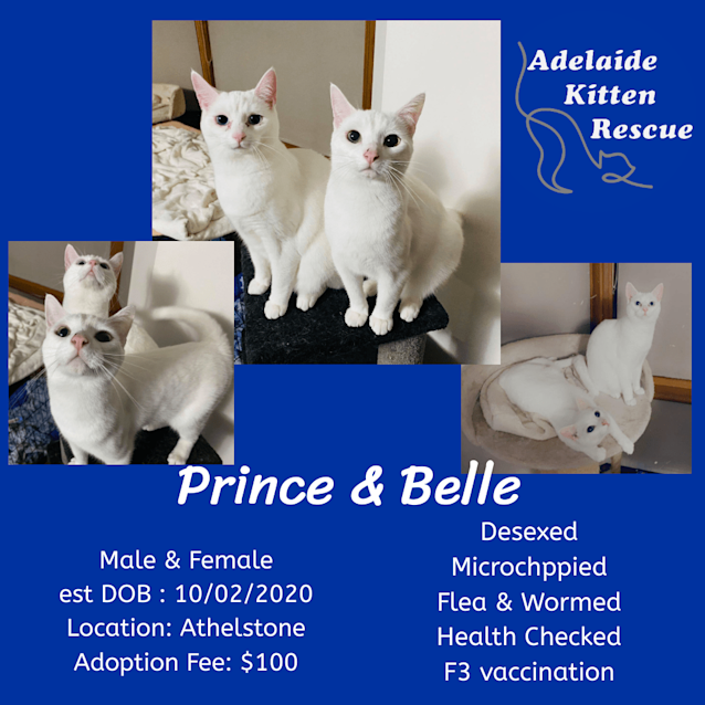 Photo of Prince & Belle