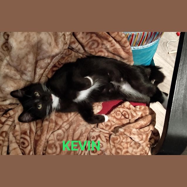 Photo of Kevin