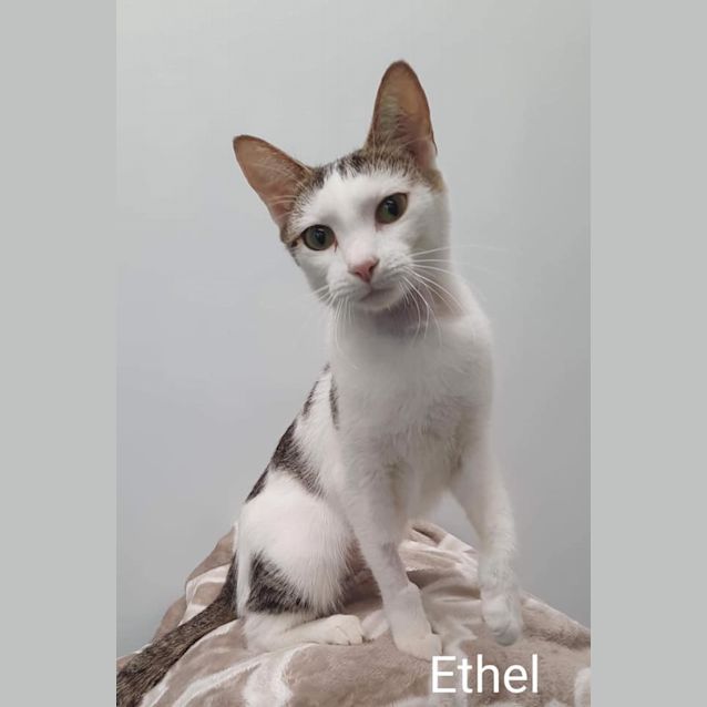 Photo of Ethel