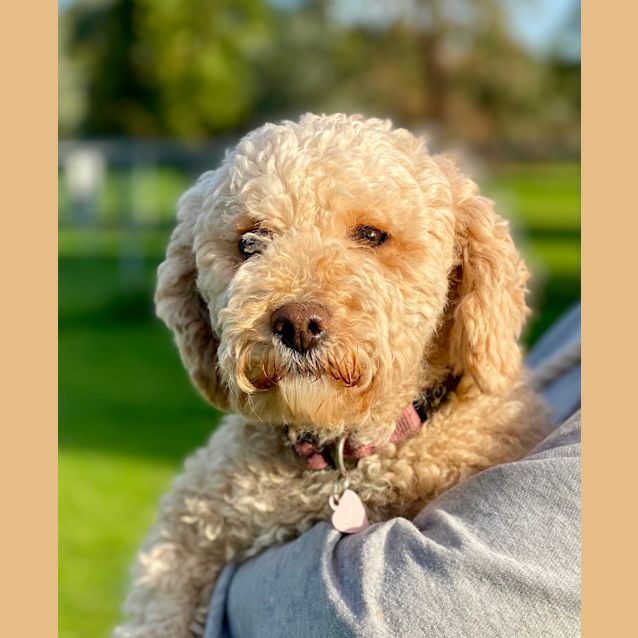 Photo of Skittles 