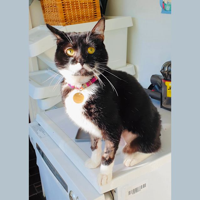 Photo of Carlos   Located In Preston 
