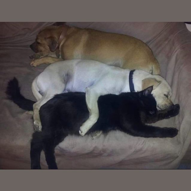 Photo of Winston & Jet 