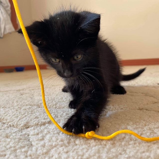 Photo of Bean (Located In Northcote)