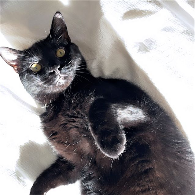 Photo of Zumi Sua008554